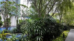 Soleil @ Sinaran (D11), Condominium #518609931